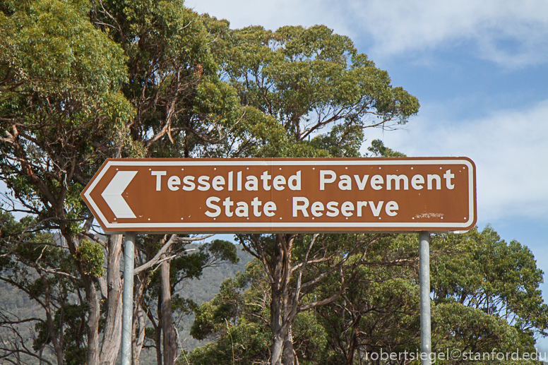 tesselated pavements